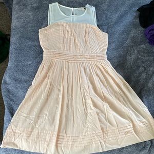 Dusty Rose knee-length dress from the Loft. Never worn.